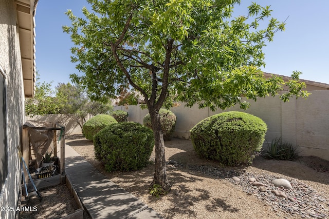 12044 S 45th St, Phoenix, AZ 85044 - view of yard