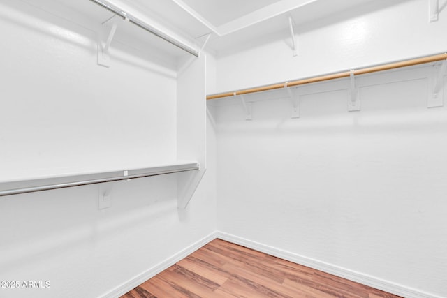 4323 S Ranger Trl, Gilbert, AZ 85297 - walk in closet featuring wood finished floors