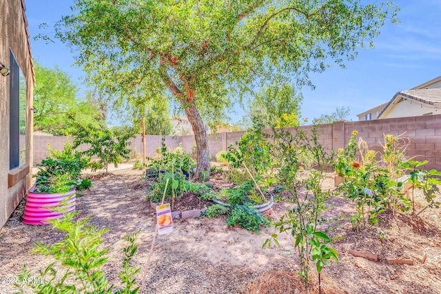 4323 S Ranger Trl, Gilbert, AZ 85297 - view of fenced backyard