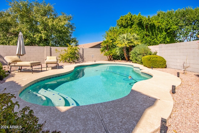 view of swimming pool with a patio area