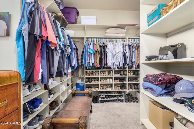 walk in closet featuring carpet floors