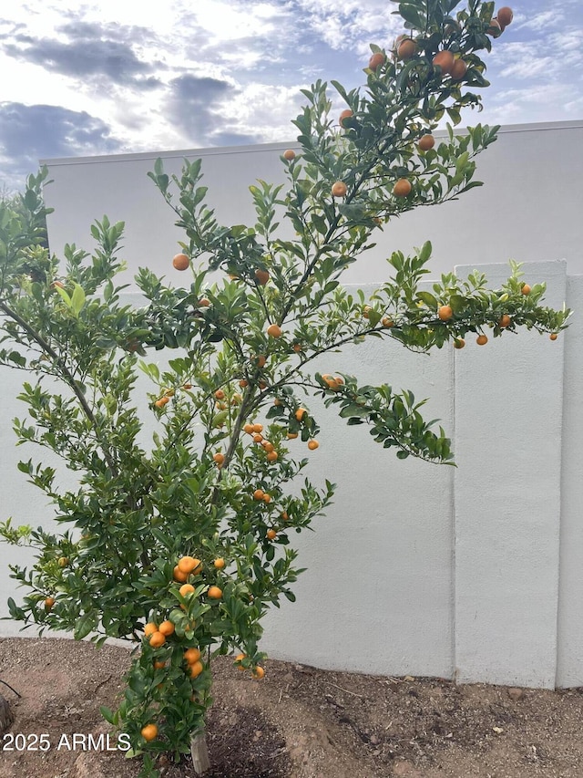 12821 N 67th St, Scottsdale, AZ 85254 - exterior view