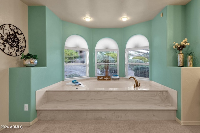 bathroom featuring a healthy amount of sunlight and a bathing tub