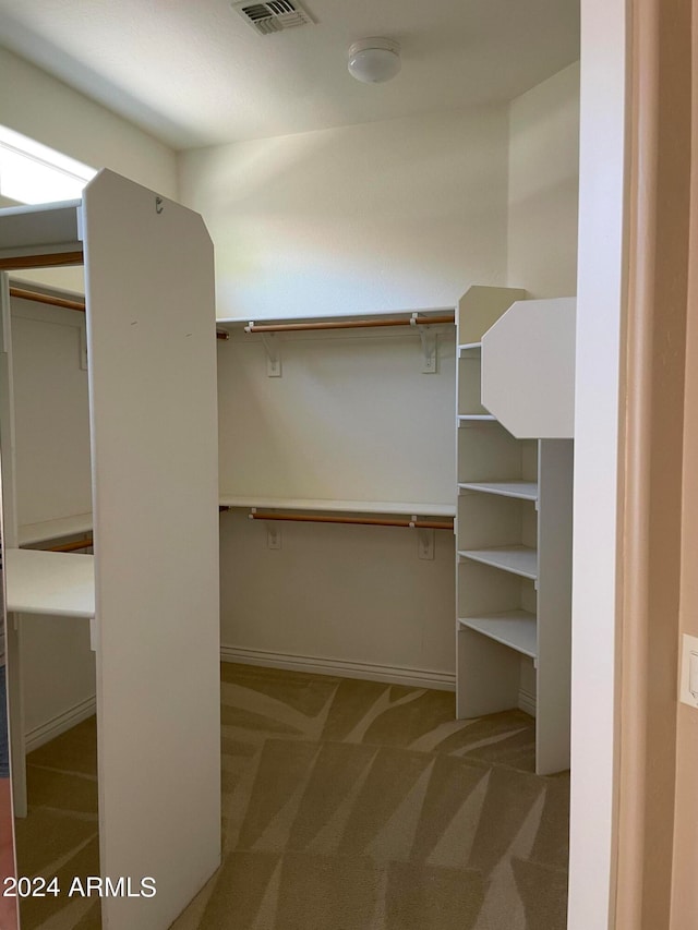 spacious closet with carpet floors