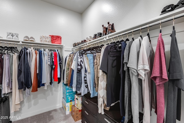 spacious closet with carpet flooring