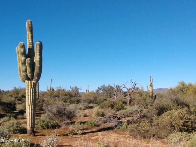 169X4 E Lone Mountain Rd -, Unit Rio Verde AZ, 85263 land for sale