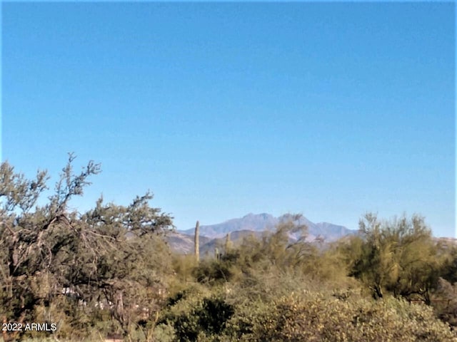 169X4 E Lone Mountain Rd -, Unit Rio Verde, AZ 85263