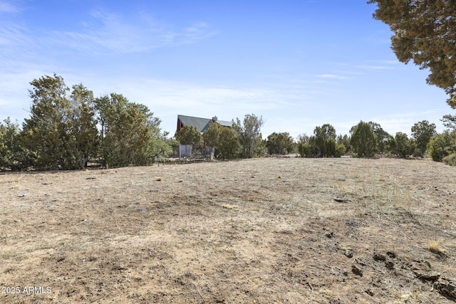 view of local wilderness with a rural view