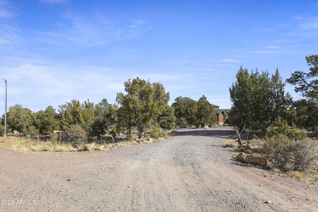 view of road