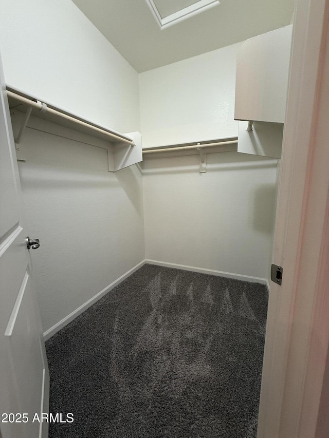 walk in closet featuring carpet flooring