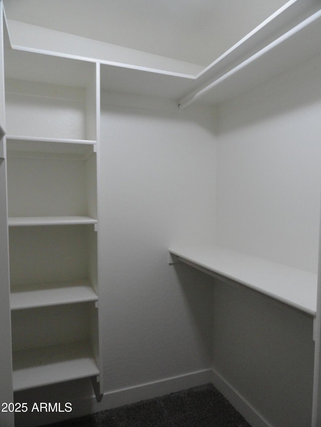 view of walk in closet