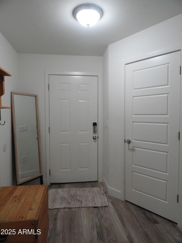 foyer entrance featuring wood finished floors
