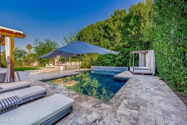 view of pool with a patio