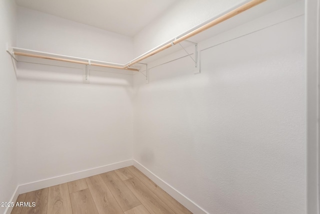 2443 E Randall Dr, Tempe, AZ 85288 - walk in closet with light wood-style flooring