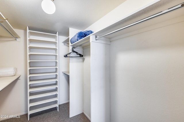 spacious closet with dark carpet