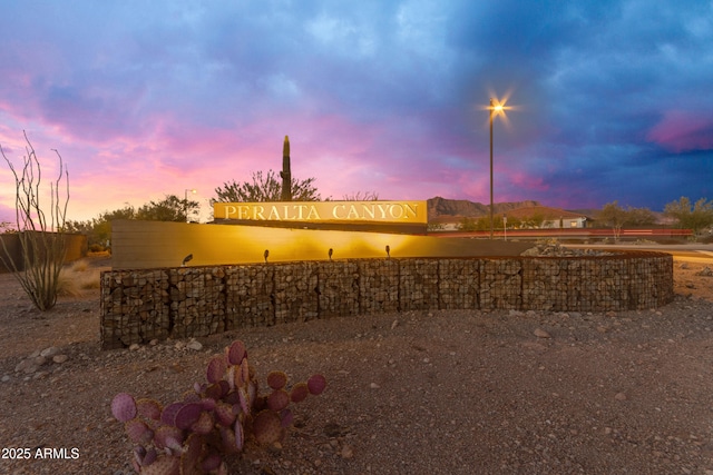 view of yard at dusk