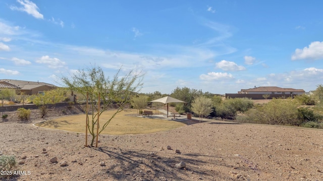 view of yard featuring a patio