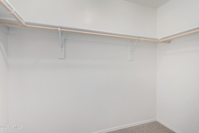 9803 N 40th Dr, Phoenix, AZ 85051 - walk in closet featuring carpet flooring