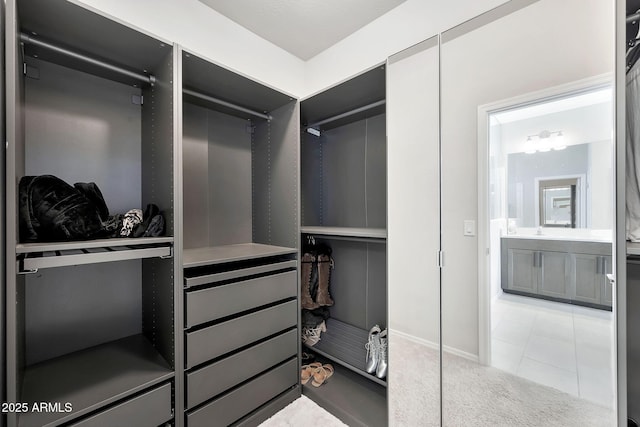 spacious closet featuring light carpet