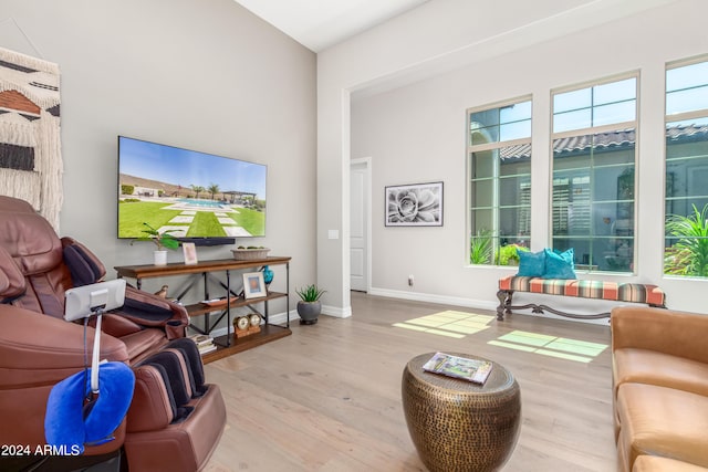 living room with light hardwood / wood-style floors