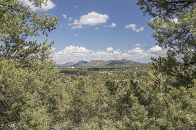 1200 W Airport Rd Unit 006F, Payson AZ, 85541 land for sale