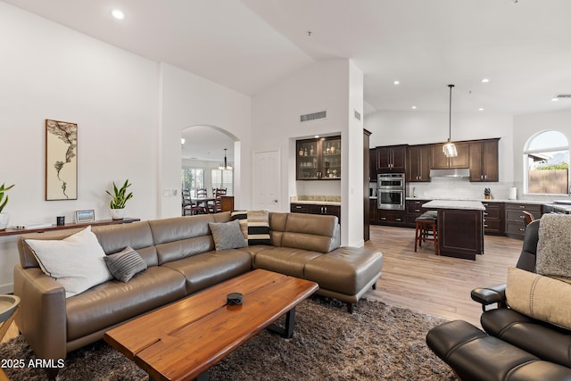 living room with high vaulted ceiling and light hardwood / wood-style floors