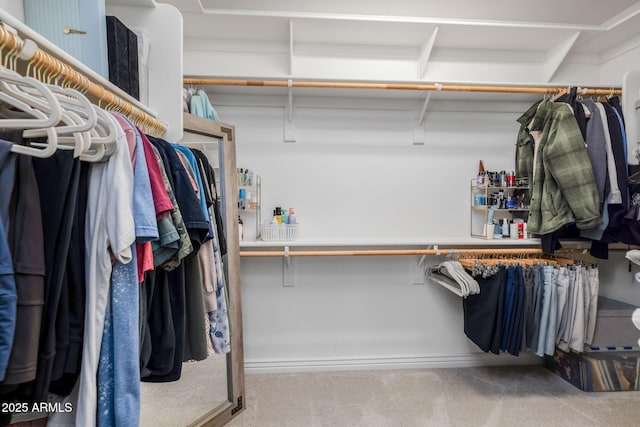 walk in closet with carpet