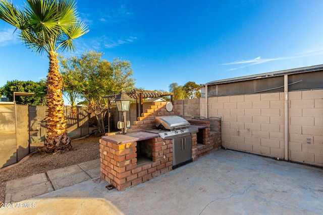 view of patio / terrace with exterior kitchen