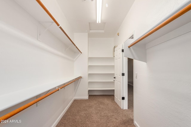 spacious closet featuring light carpet