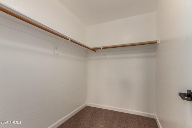 walk in closet featuring carpet floors