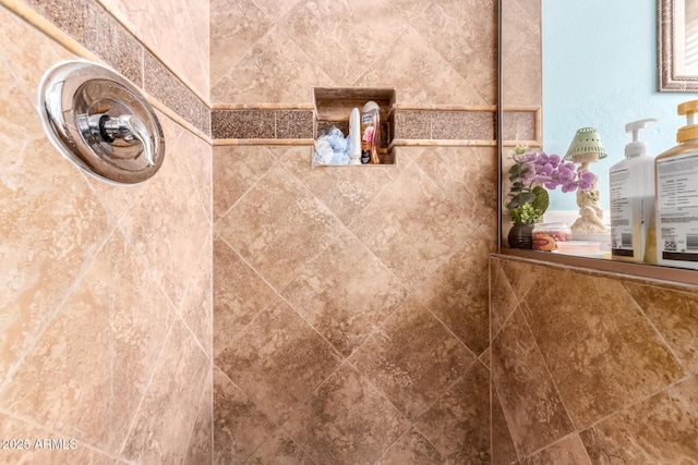 7015 W Melody Dr, Laveen, AZ 85339 - bathroom view of tiled shower