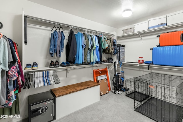 walk in closet with carpet flooring