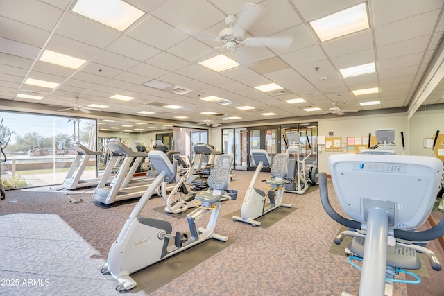 workout area with a paneled ceiling, carpet floors, and ceiling fan