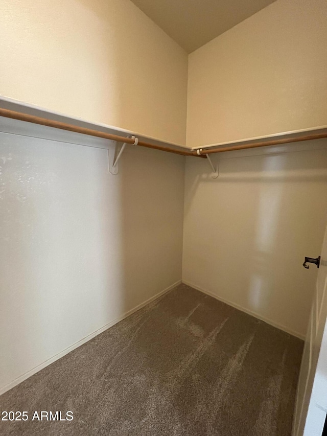 walk in closet with dark colored carpet