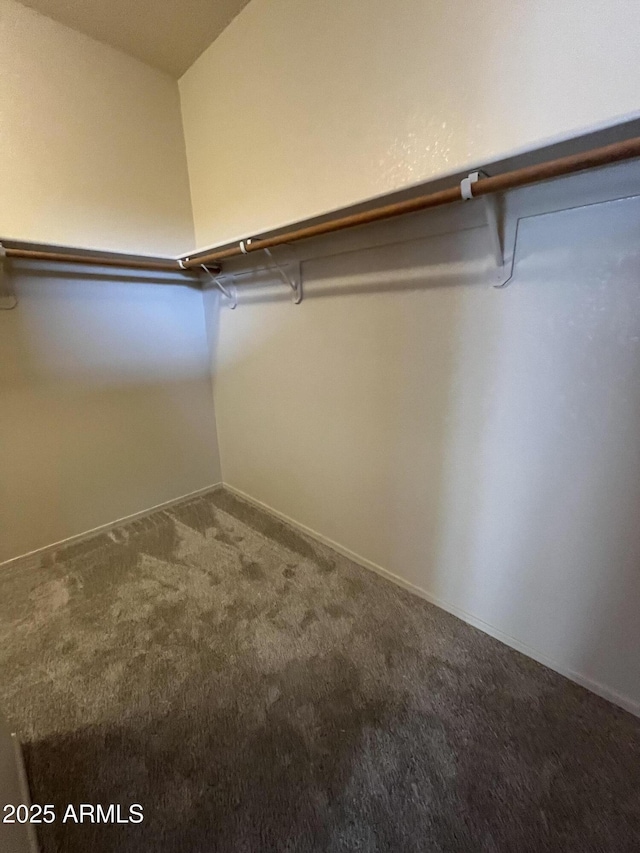 walk in closet featuring carpet flooring