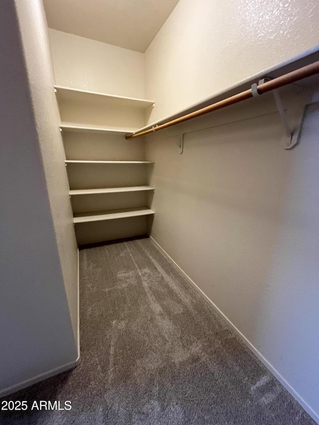 walk in closet featuring dark carpet