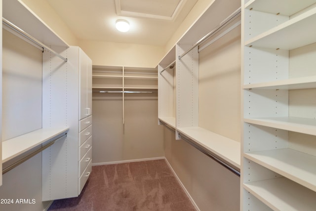 spacious closet featuring dark colored carpet