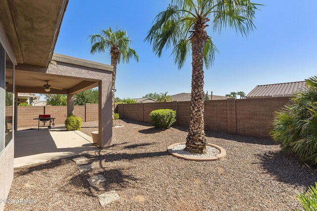 view of yard with a patio and ceiling fan