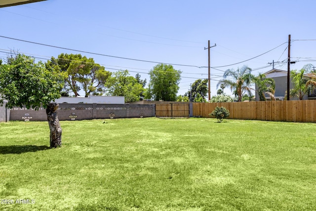 215 W Ruth Ave, Phoenix, AZ 85021 - view of fenced backyard