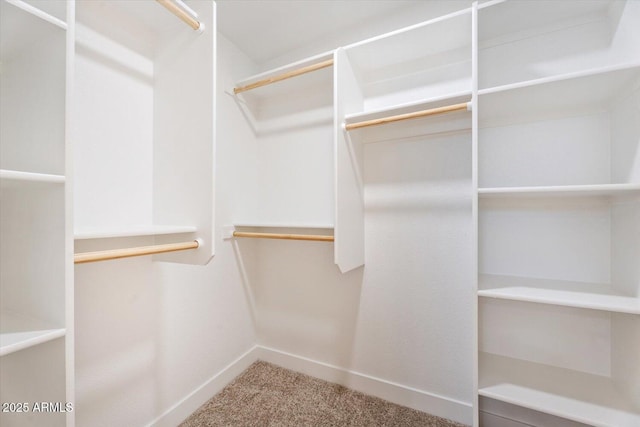 walk in closet featuring carpet