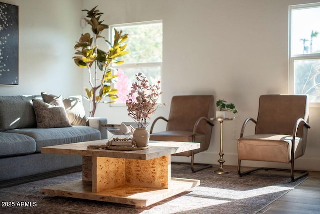 sitting room featuring hardwood / wood-style floors