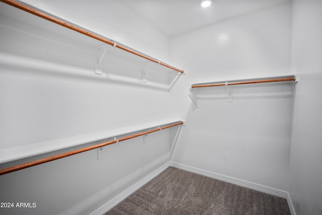 spacious closet with carpet flooring