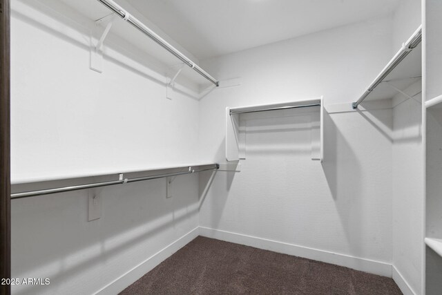 8313 E Impala Ave, Mesa, AZ 85209 - spacious closet featuring dark carpet
