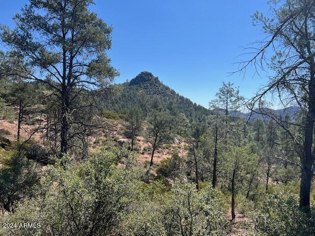 901 S Monument Valley Dr Unit 164, Payson, AZ 85541