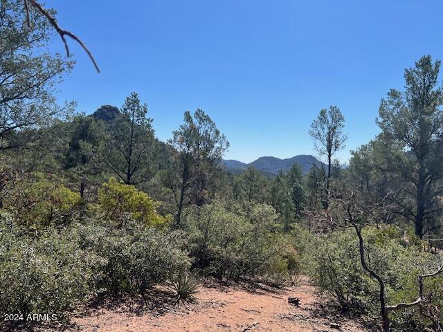 901 S Monument Valley Dr Unit 164, Payson, AZ 85541