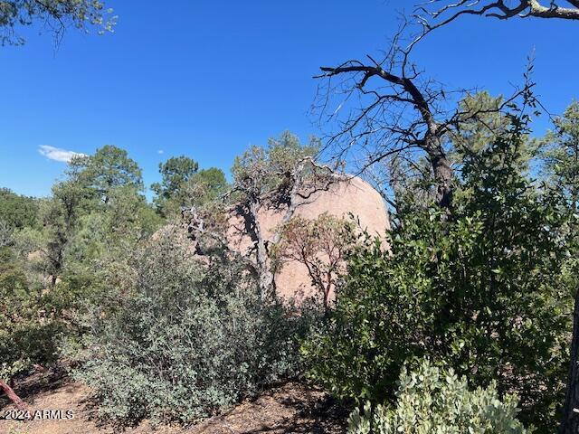 901 S Monument Valley Dr Unit 164, Payson, AZ 85541