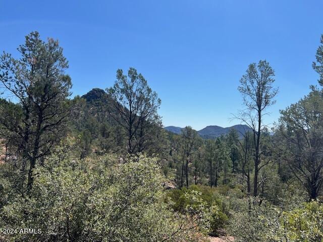 901 S Monument Valley Dr Unit 164, Payson, AZ 85541