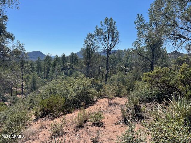 901 S Monument Valley Dr Unit 164, Payson, AZ 85541