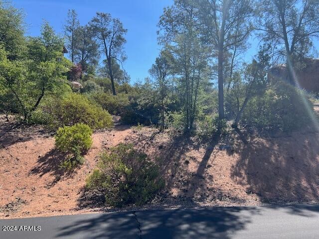 Listing photo 3 for 901 S Monument Valley Dr Unit 164, Payson AZ 85541