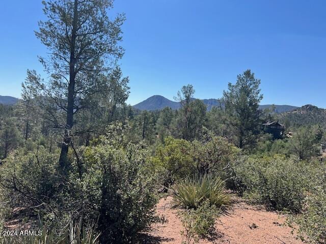 901 S Monument Valley Dr Unit 164, Payson, AZ 85541
